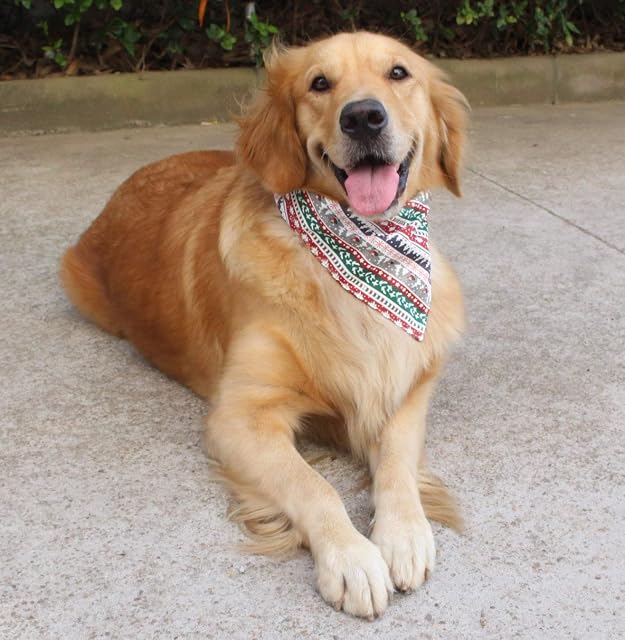 Foto 5 de 7 de Newtensina Pañuelo de Navidad para Perros Soft Polyester Perrito Bandana para Perros - Blanco - S