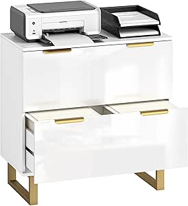 HOMCOM 2 Drawer File Cabinet, Lateral Filing Cabinet with Adjustable Rails for Letter/A4/Legal Size Files, Modern Printer Stand with Gold Handles and Legs, High Gloss White