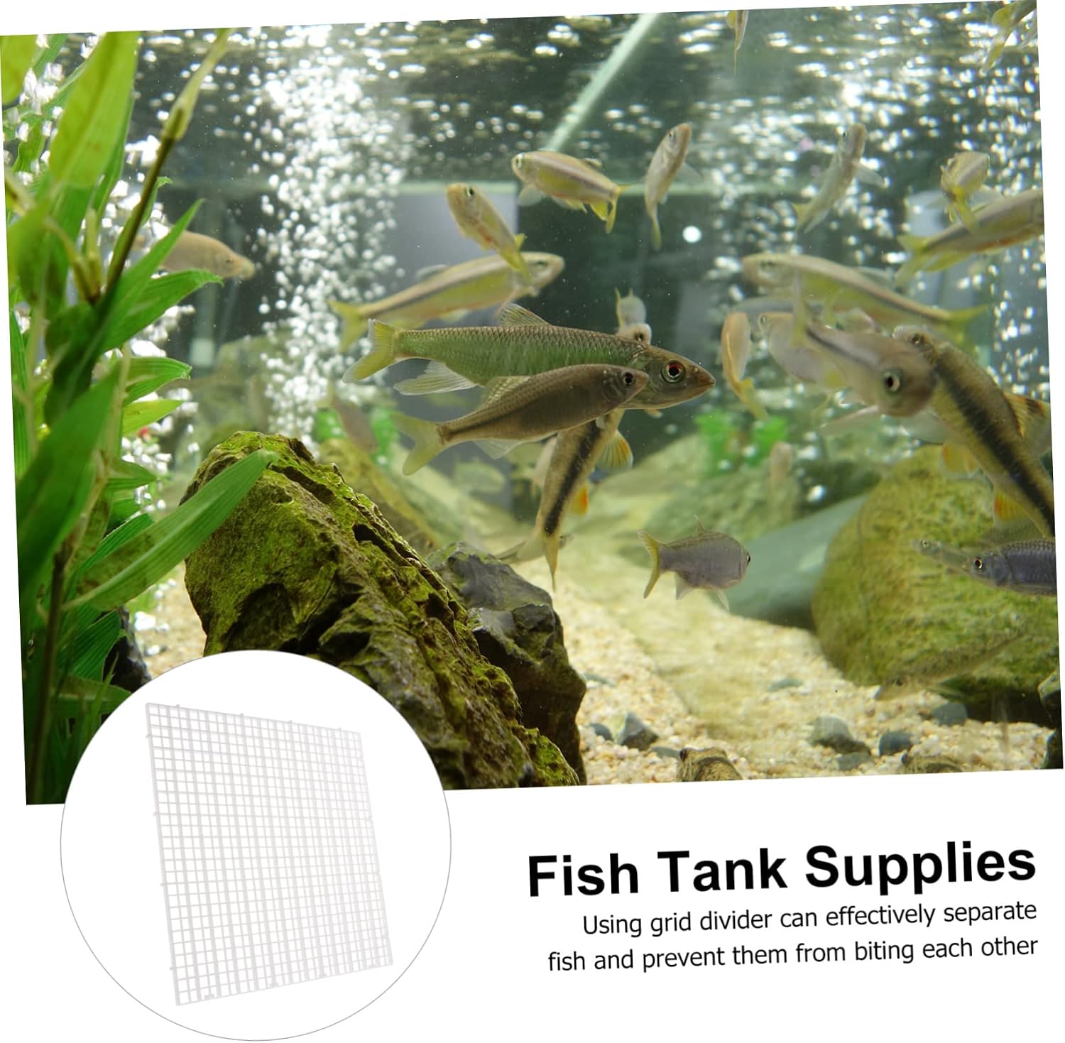 1set Mixed Breeding Isolation Panel for Fish Tanks Aquarium Divider Grid Tray Cups Easy to Install Panels Clamps
