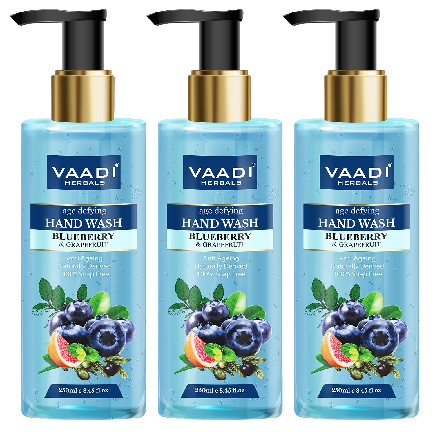 Vaadi Herbals Age Defying Blueberry and Grapefruit Hand Wash – 250 ml (Pack of 3)