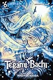 Tegami Bachi, Vol. 6: The Lighthouse in the Wasteland (English Edition)