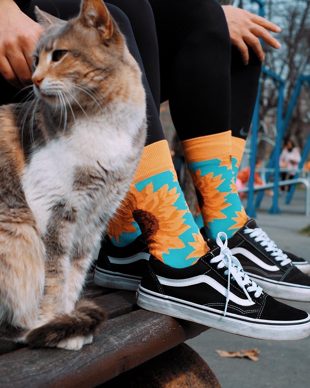 Special Design Cotton Long Funny Socks Model for Men and Women – Colorful Socks for Unisex Cute Fun Socks