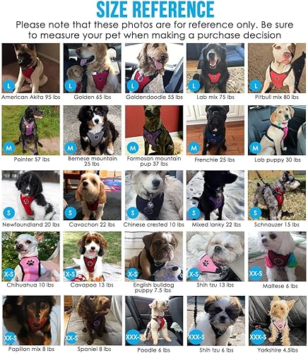 Miniatura 6 de SlowTon - arnés de perro (para auto) más correa conectora, arnés ajustable multifunción, doble tela de malla transpirable, acoplar a cinturón de