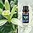 BURIBURI Vanilla Essential Oil, 100% Pure, Undiluted, Natural Aromatherapy Oil for Diffuser, Massage