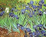 ★Peinture murale HD: nous utilisons des illustrations d'impression sur toile modernes micro-pulvérisées, imprimées en haute résolution de couleurs vives sur une toile de haute qualité, elles créent l'apparence et la sensation d'une nature vierge.