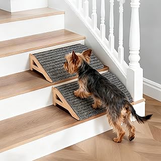 2 Pack Dog Ramp Stairs for Small Dogs