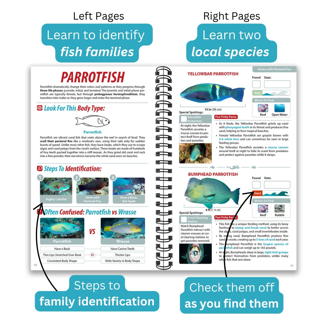 South Pacific Ocean Life Guide, Underwater Spotter Fish Identification Book For Scuba Divers, Snorkelers and Kids, 50 Fish Species and Marine Animals Scavenger Hunt for Beginners      Ring-bound – Picture Book, May 1, 2018