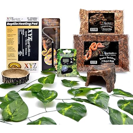 complete snake setup