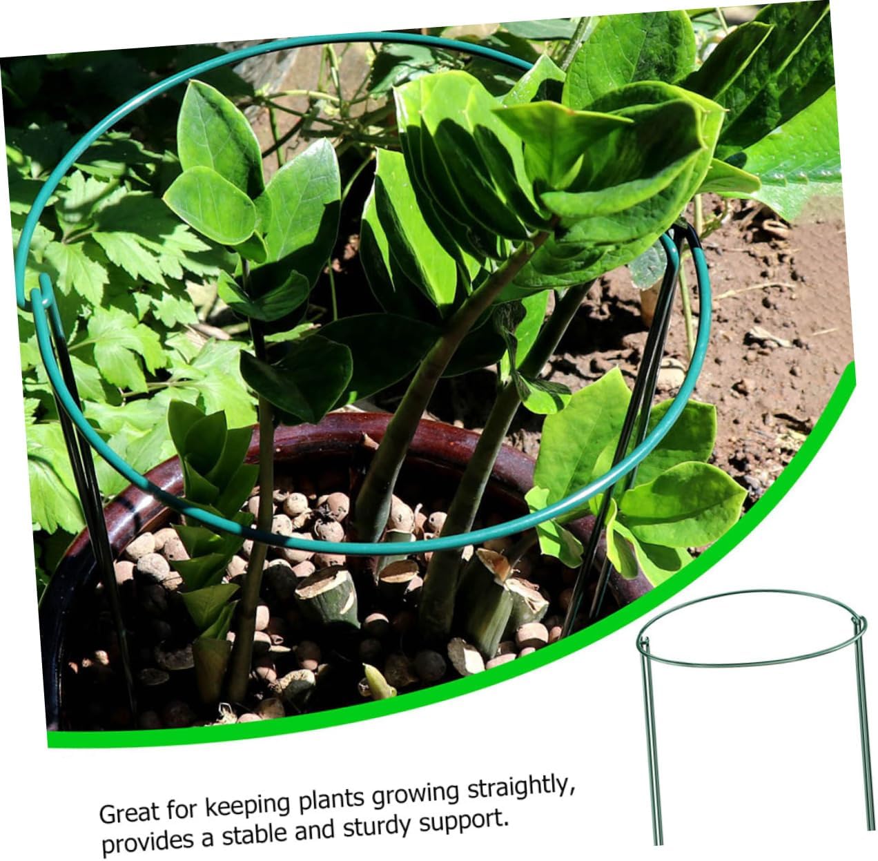 4Pcs Semicircular Plant Support Frame for Use Durable Garden Trellis Green Coated Flower Support Structure for Potted Plants