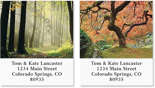 Miniatura 3 de Autumn Brilliance - Juego de 144 etiquetas autoadhesivas de hoja plana de 1-12 x 1-34 pulgadas (4 diseños)