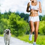 Mile High Life Hands Free Dog Leash, Crossbody Waist Leash with Genuine Leather Connection, Multifunctional Adjustable Slip Lead for Dog Walking Running (Black Khaki, 8FT)