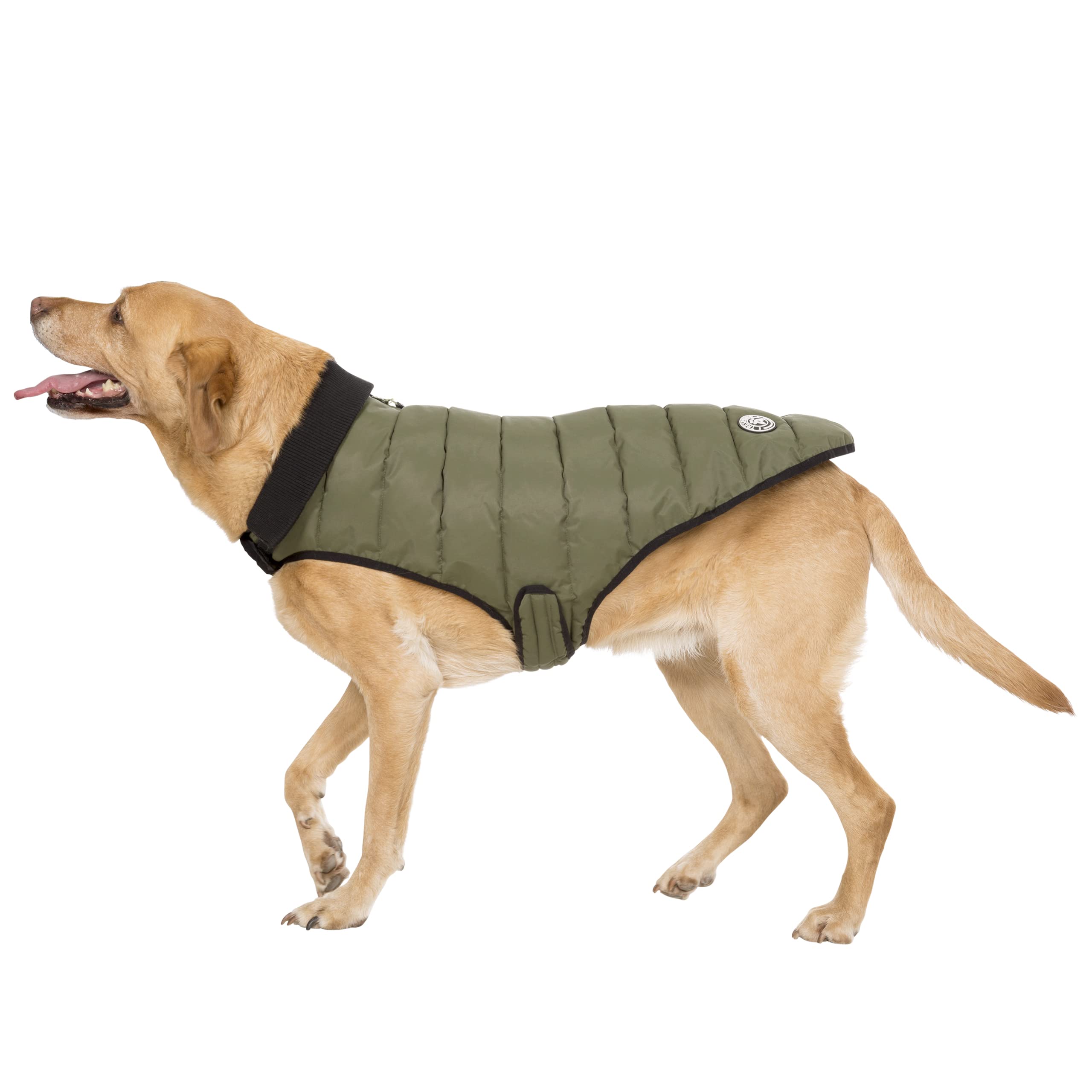 LLOYD - DOG PUFFER JKT TP75 - C: KHA T: XS, multicoloured - Image 4