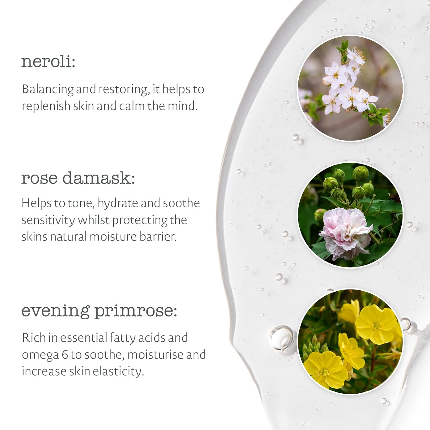 Elemental Herbology Neroli & Rose Damask Hand & Body Wash 9.8 fl oz – SLS-Free Cleanser with Evening Primrose, Natural Oils & Calming Essential Oils – Hydrates, Soothes & Softens Sensitive Skin