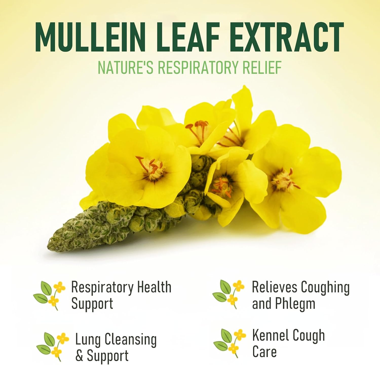Mullein Lung Support Drops for Dogs & Cats - Natural Cough Relief — view 2