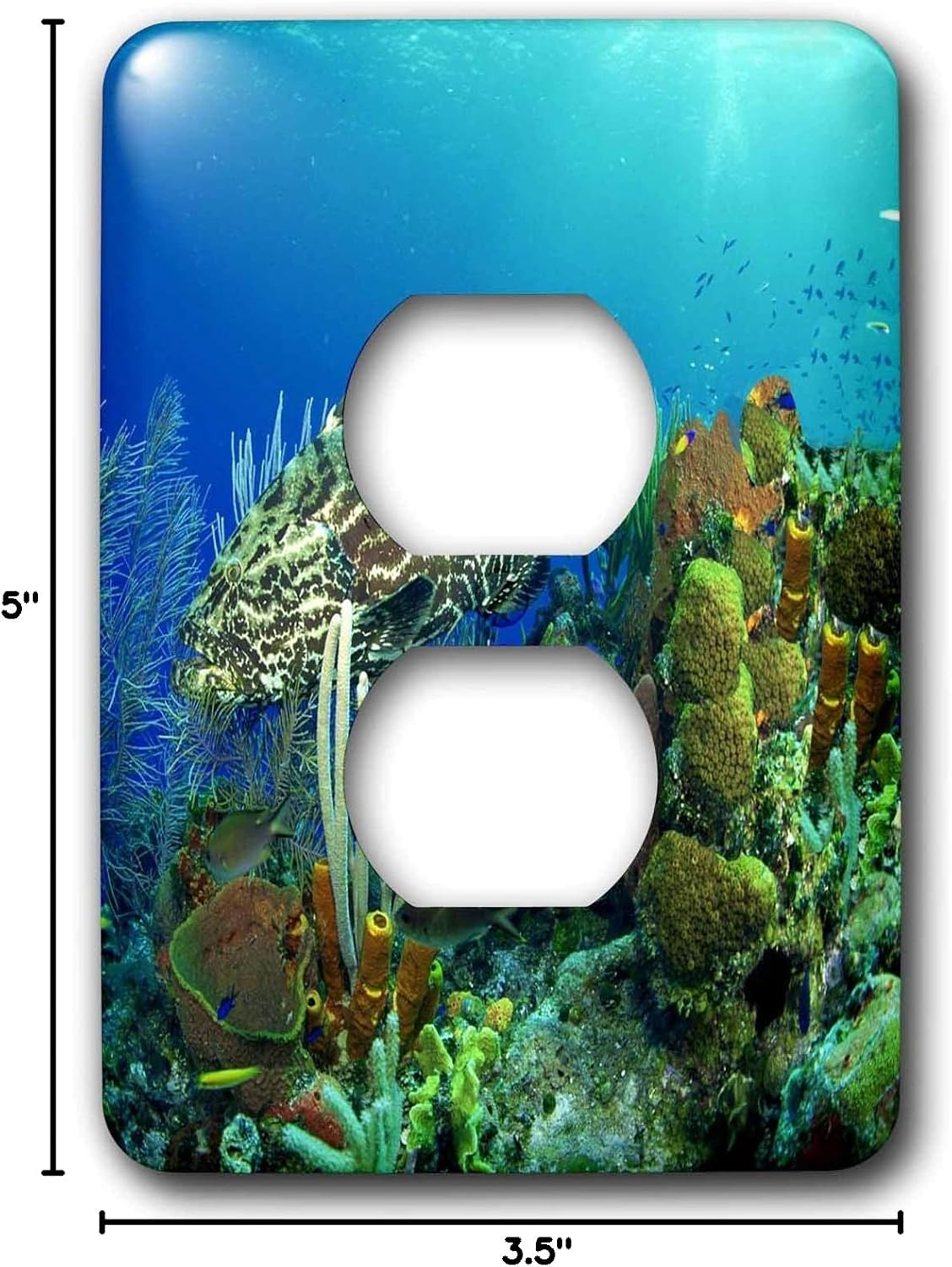 3dRose lsp_26848_6 Bass Fish Underwater 2 Plug Outlet Cover