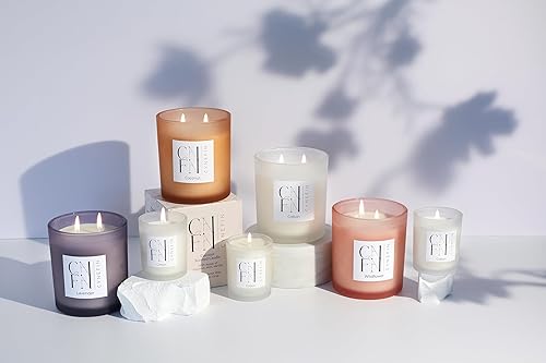 Miniatura 8 de Juego de velas perfumadas frescas y florales de CNFN  Velas 100% de cera de coco  3 x 3.53 onzas  20 horas de tiempo de combustión por vela