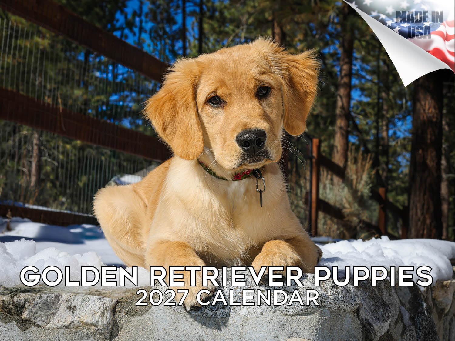2024 2025 Golden Retriever Pups Calendar - Dog Breed Monthly Wall Calendar - 12 x 18 Open - Thick No-Bleed Paper - Giftable - Academic Teacher's Planner Calendar Organizing & Planning - Made in USA — image 1
