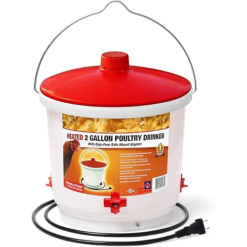 Farm Innovators Heated Waterer with Lid, 60W Hanging Water Dispenser - 2 Gallon Poultry Drinker Bucket with Red Top for Chickens, Turkeys, and Geese