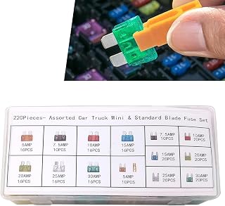 220 PCS Car Fuse Kit, Standard & Mini & Low Profile Mini Blade Fuse Assortment, Auto Replacement Fuses, Universal for Most Cars (Multicolored)