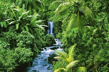 24x36 Rainforest Waterfall Art Poster Print