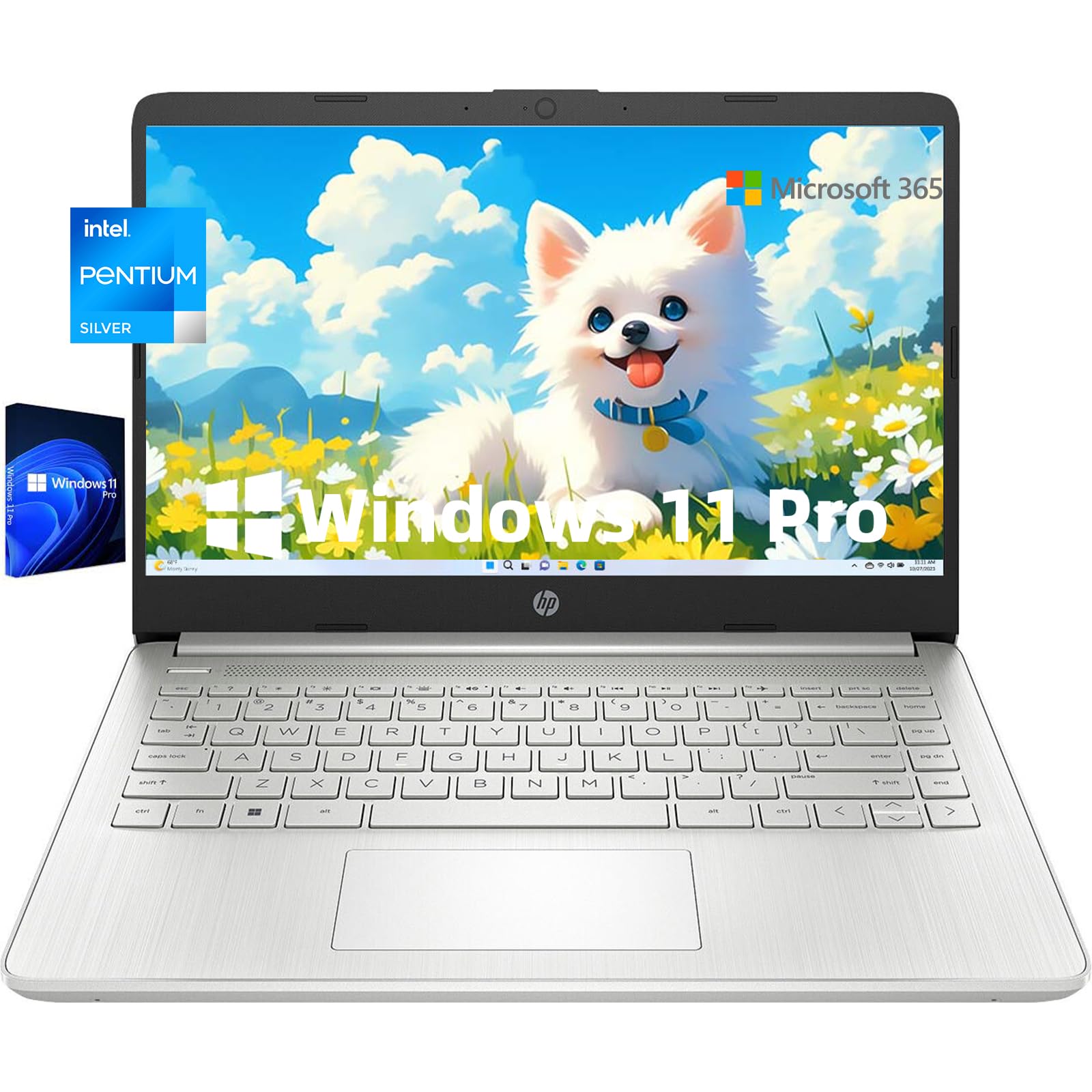 Amazon.com: HP 14-inch Business & Students Laptop - Intel Pentium