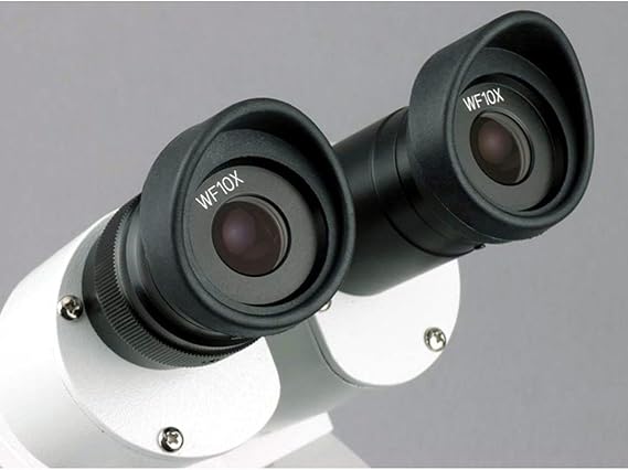 AmScope Sharp Forward Stereo Microscope 20X-40X