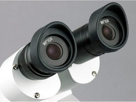 AmScope Sharp Forward Stereo Microscope 20X-40X