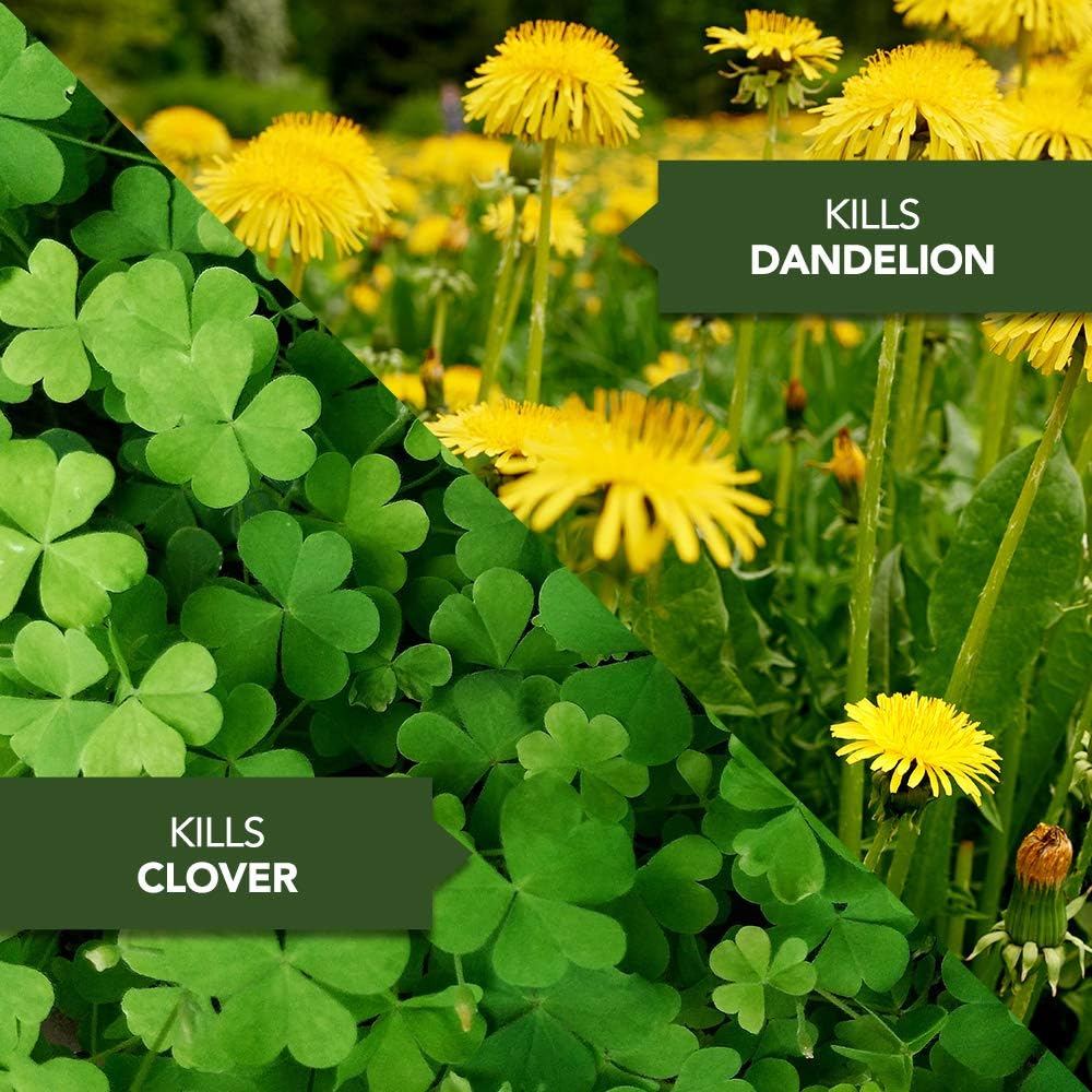 BioAdvanced Season Long Weed Control for Lawns, Concentrate, 29 oz (Pack of 2)