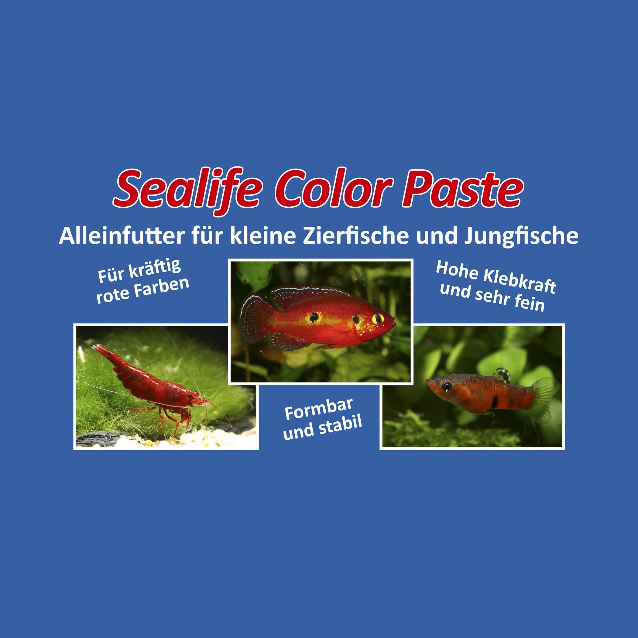 3er-Set Sealife Futter Pasten - Fischfutter und Garnelenfutter Farbfutter Aufzuchtfutter Hauptfutter