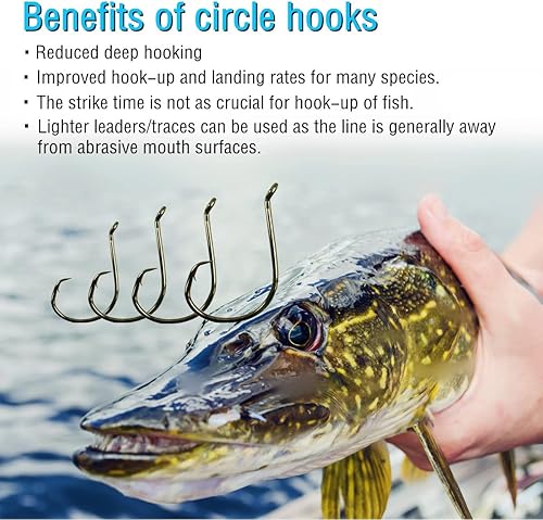 Miniatura 6 de Ganchos circulares para bagre, anzuelos de pesca de pulpo deportivos para agua salada, tamaño 10-140, ganchos grandes para peces de agua dulce,