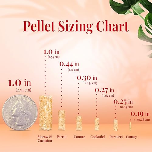 Miniatura 9 de LAFEBER'S Alimento para pájaros de dieta diaria prémium para mascotas, hecho con ingredientes no transgénicos y de grado humano, para canarios, 1.25