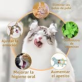 Ver la foto 3