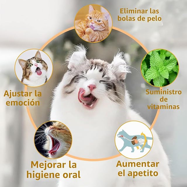 Foto 3 de 7 de TOHDNC Bola Catnip Juguetes, 4 Paquetes Juguetes Mordedura Gato, Juguetes Gatito Comestibles