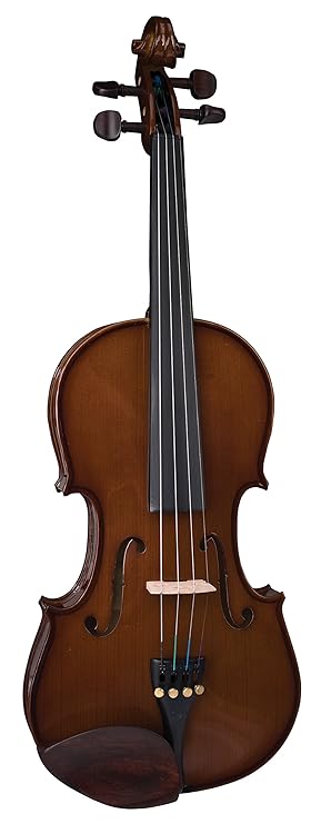 The stentor student violin Clearance