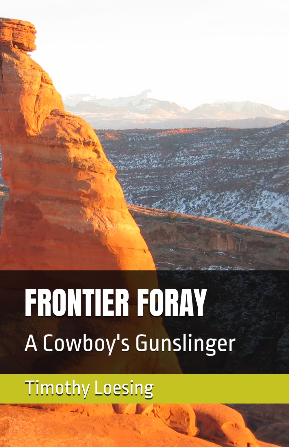 FRONTIER FORAY: A Cowboy's Gunslinger