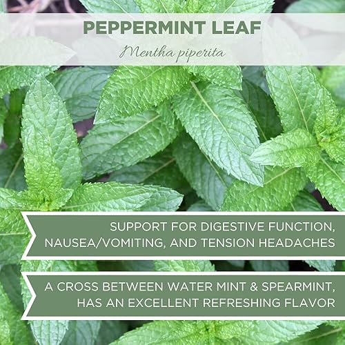 Miniatura 6 de Hojas de menta orgánica, 4 onzas (3.99 oz), té de menta orgánica certificado por USDA, hojas de menta orgánica, hojas de menta secas, té de menta