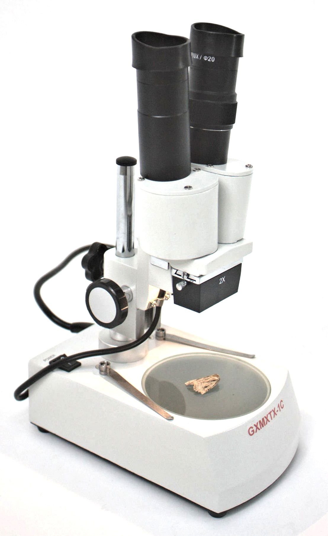 Buy GX Micros GXM XTX1C Binocular, Single Magnification, Stereo