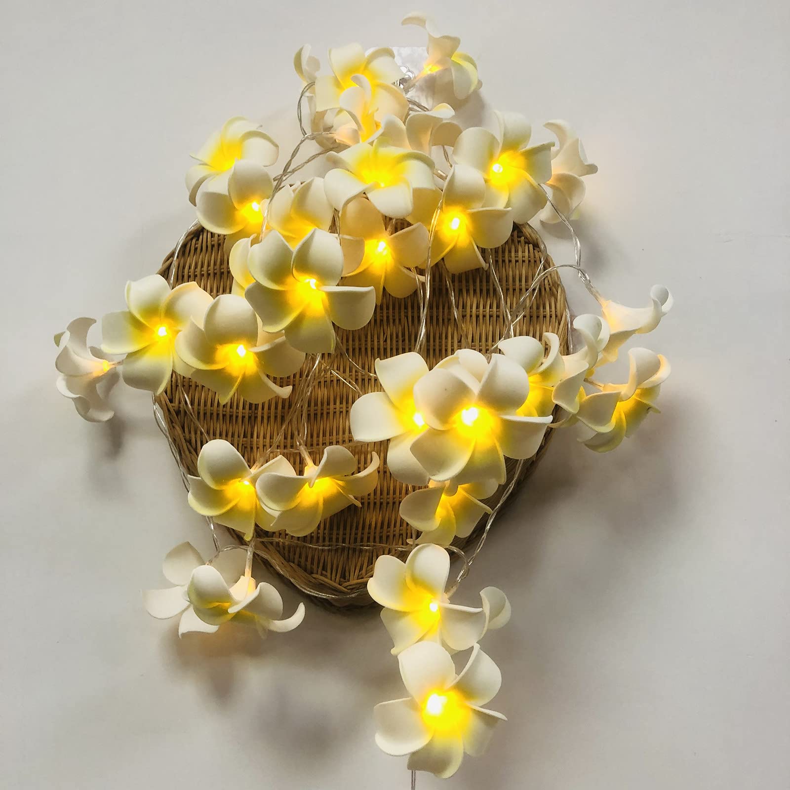 Riaxuebiy 40LED Plumeria String Lights Frangipani Flower Fairy Lights Eggflower Decorative Garland Battery Operated for Wedding Party Birthday Festival Decor (6m40led, White Plumeria)