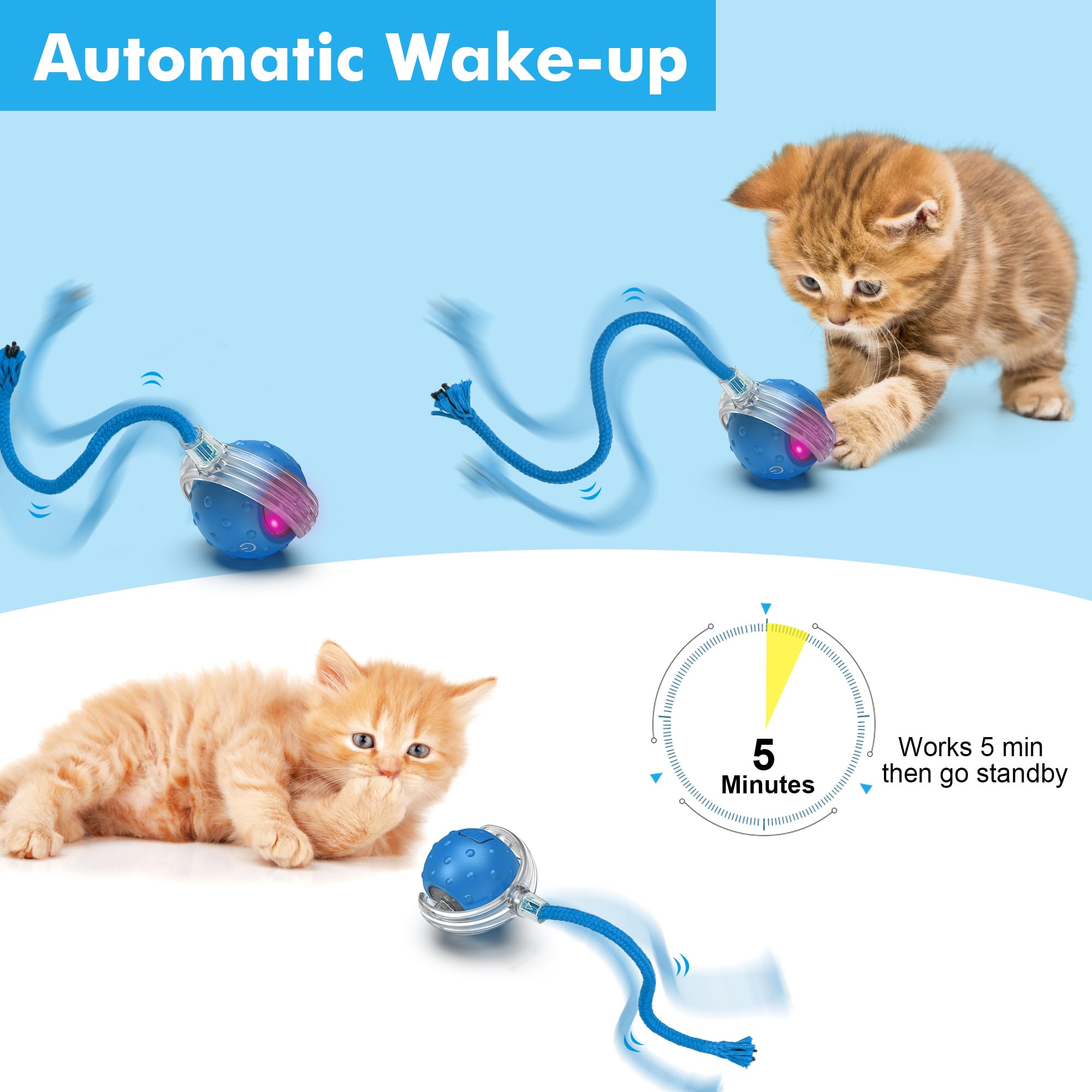 Katzenspielzeug-Ball für erwachsene Katzen im Innenbereich – interaktives automatisches Katzenballspielzeug | Schnelles Rollen und bewegungsaktiviertes Zwitschern | Verstecken und Suchen der