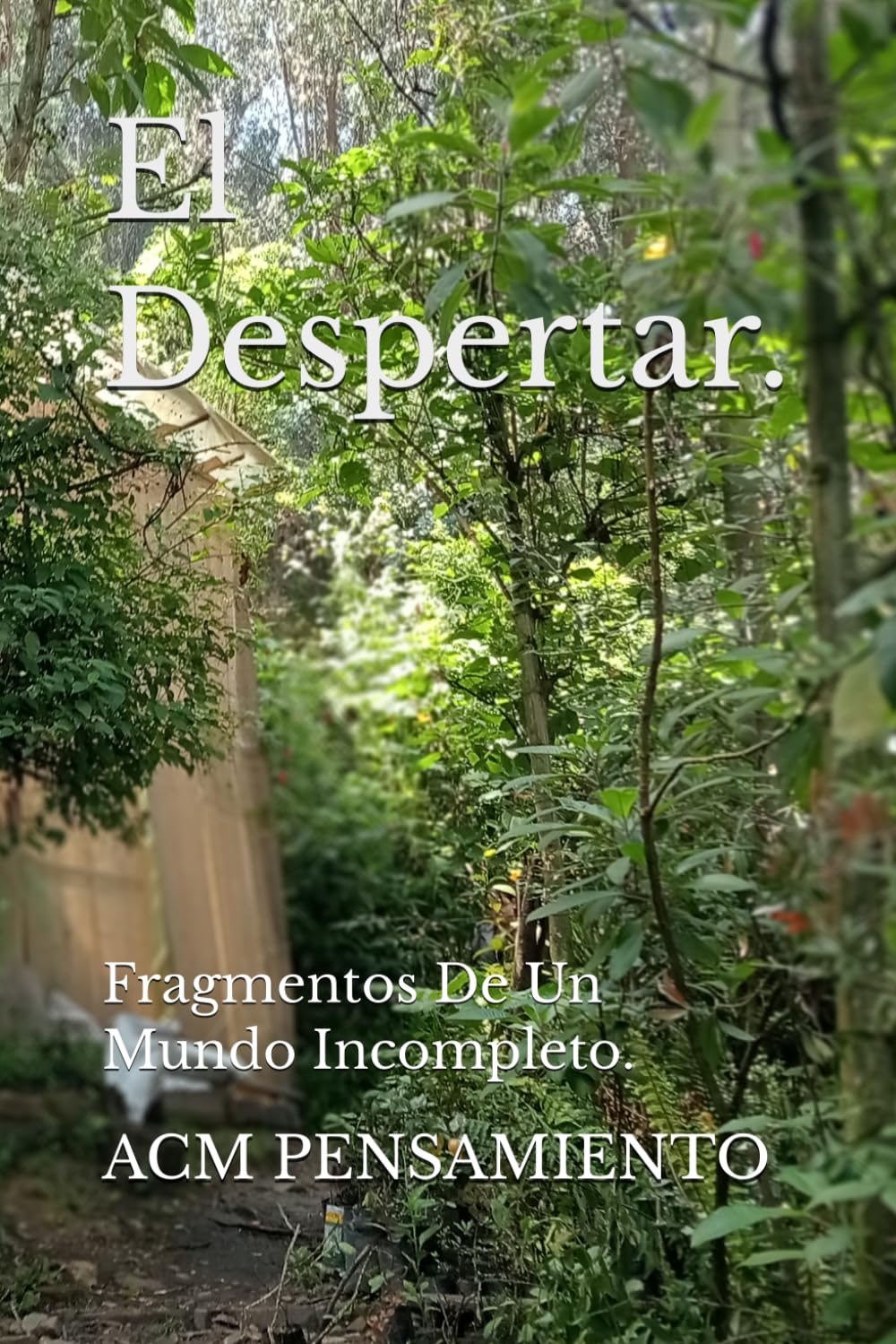 El Despertar.: Fragmentos De Un Mundo Incompleto.