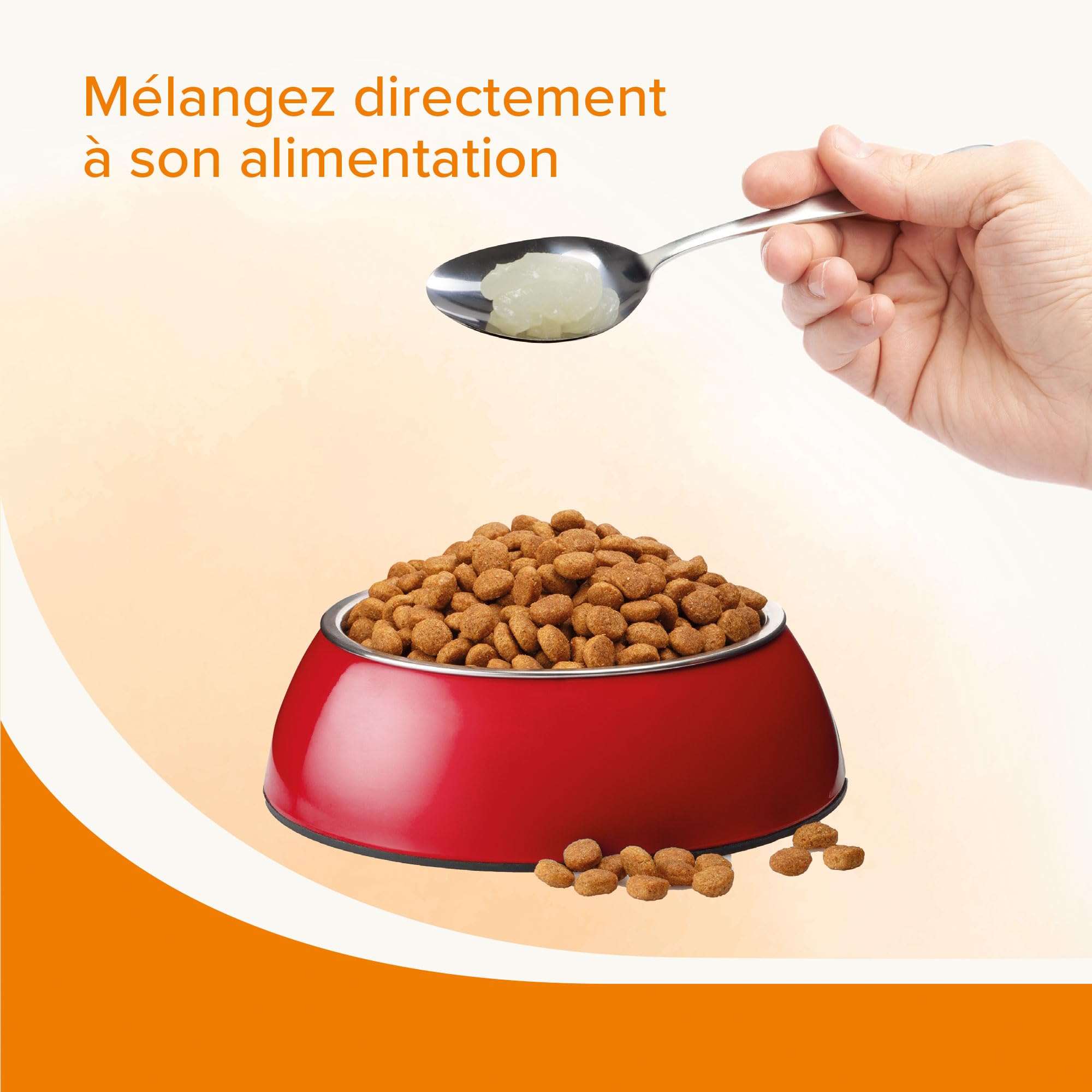 BEAPHAR – Graisse de Mouton pour Chien – Aliment Complémentaire – Omégas 3 et 6 – Bénéfique pour la Fonction intestinale, Le Pelage et la Peau – Énergie et Vitalité – Favorise l'appétit – 430 ML