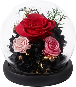 Flowers for Delivery, Forever Roses in Glass Dome with LED, Preserved Real Rose Home Decor, Anniversary Birthday Flower Gifts for Her Mothers Day-Spring Wedding Decor