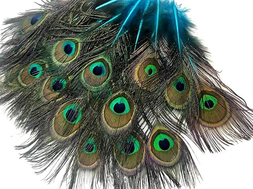 Miniatura 7 de 50 piezas - Mini cuerpo de cola de pavo real natural azul turquesa con ojos al por mayor plumas (a granel) Proveedor de manualidades de disfraces de