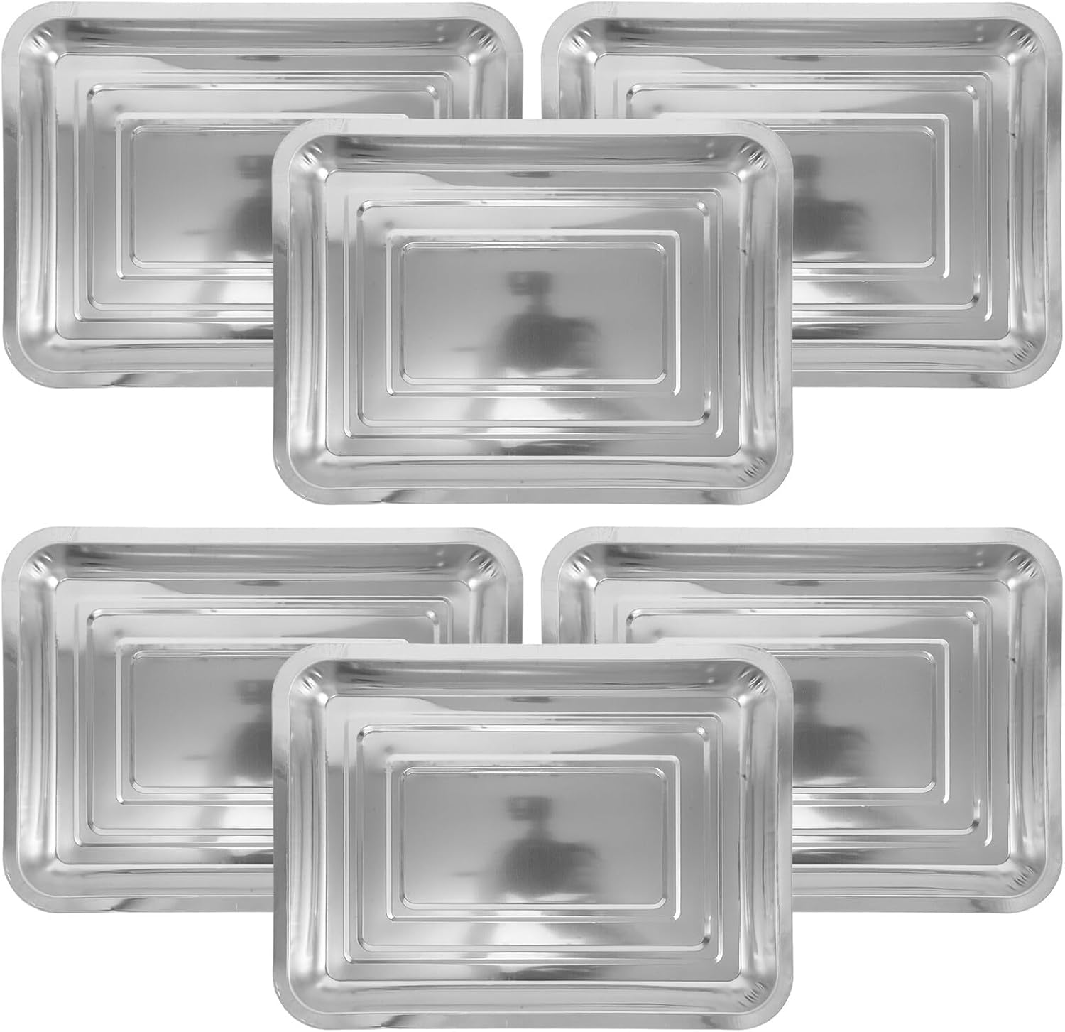 Hemoton 6pcs Stainless Steel Seedling Starter Trays Plant Germination Nursery Potting Tray 36×27×4.8cm Water Retention Indoor Gardening and Transplanting Tool