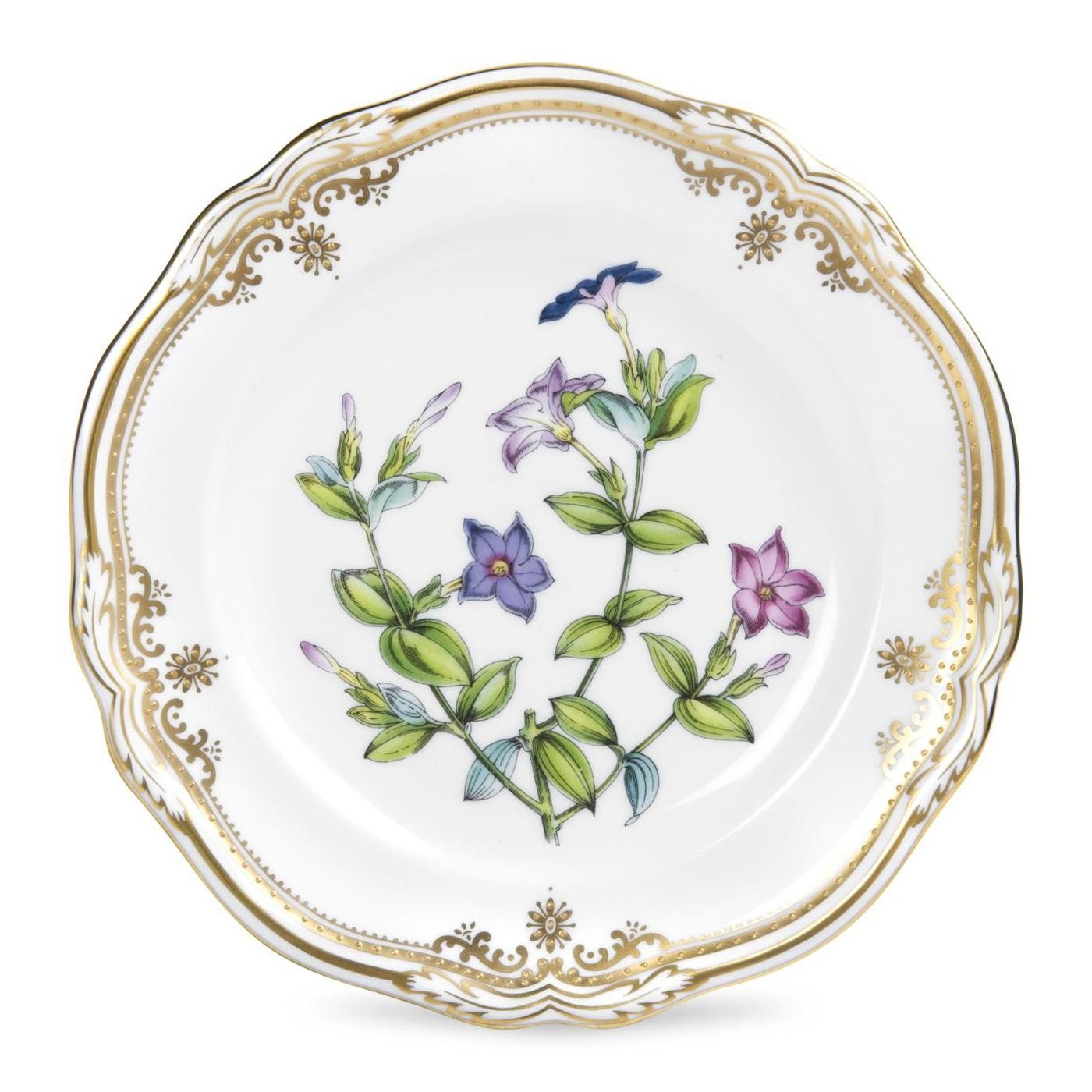 Spode Stafford Flowers #Y8519 Bread & Butter Plates : Amazon.ca: Home