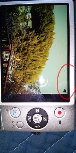 Amazon | Canon デジタルカメラ IXY 220F シルバー 光学5倍ズーム 広角