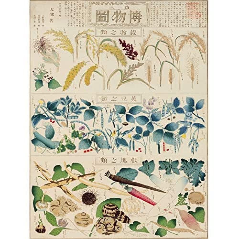 Artery8 Kato Chikusai Species of Flora Fauna Insects Japanese Art Print Canvas Premium Wall Decor Poster Mural
