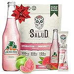 Salud x Jarritos 2-in-1 Hydration Packets + Immunity Electrolytes Powder, Guava - Agua Fresca Drink Mix, Elderberry, Dairy & Soy Free, Non-GMO, Gluten Free, Vegan, 1g Sugar (15 Servings)