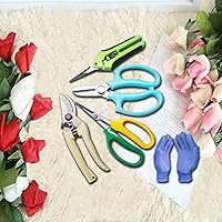 Vista 7 de Tijeras de podar de jardín, tijeras de jardín, tijeras de hierbas, tijeras de floristería, tijeras florales, tijeras de bonsái, podadora de mano