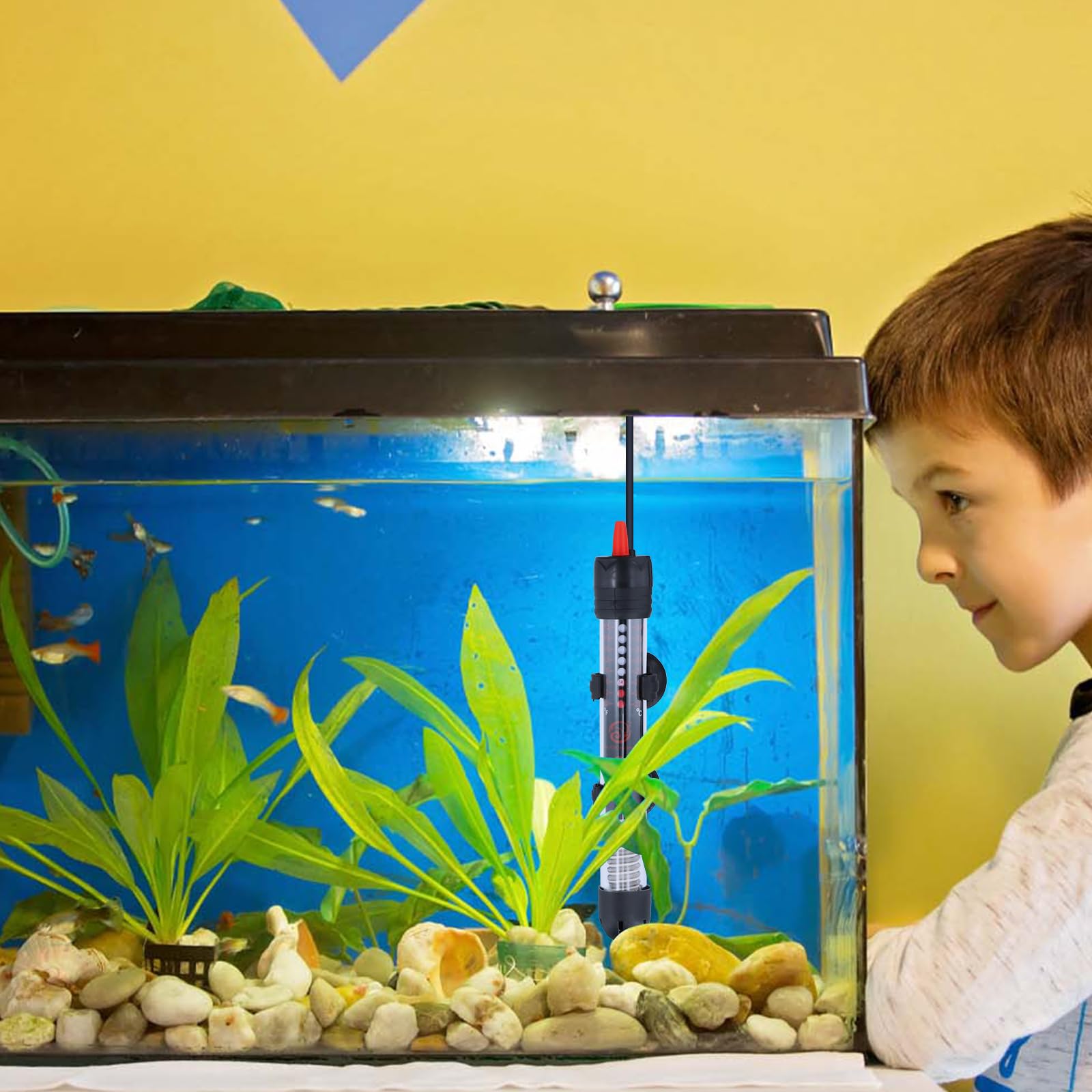 Verstelbare Aquariumverwarming, 25W Aquariumverwarming Met Thermostaat 20 34c Voor Aquaria En Aquarium